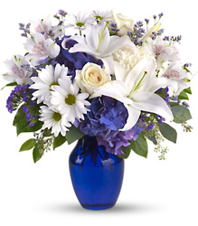 Beautiful in Blue from Brennan's Florist and Fine Gifts in Jersey City